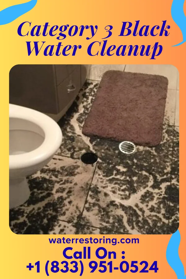Category 3 Black Water Cleanup in Menasha, WI