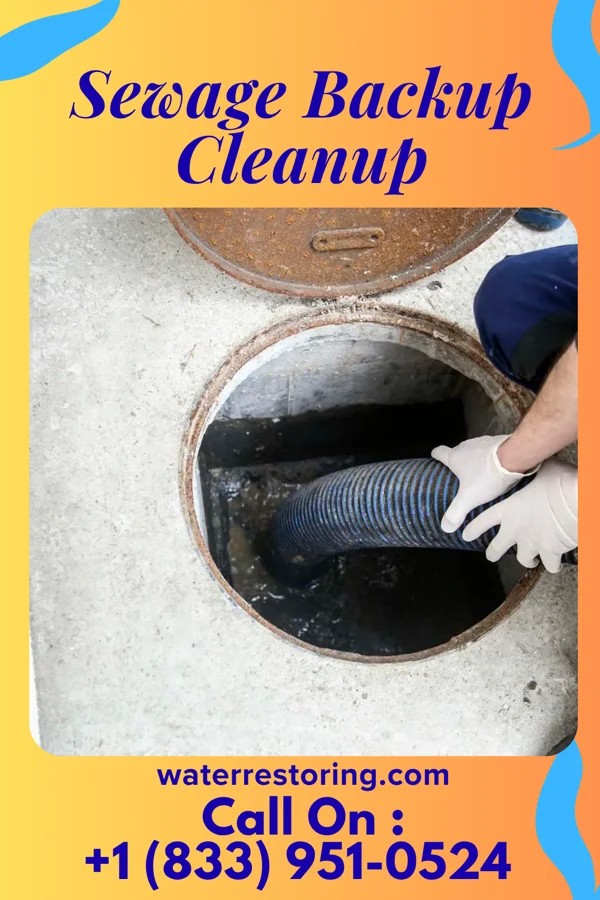 Sewage Backup Cleanup in Menasha, WI