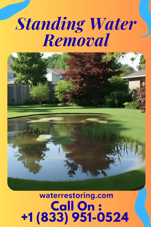 Standing Water Removal in Menasha, WI